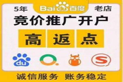 探索SEM竞价专员的技能要求与成功案例